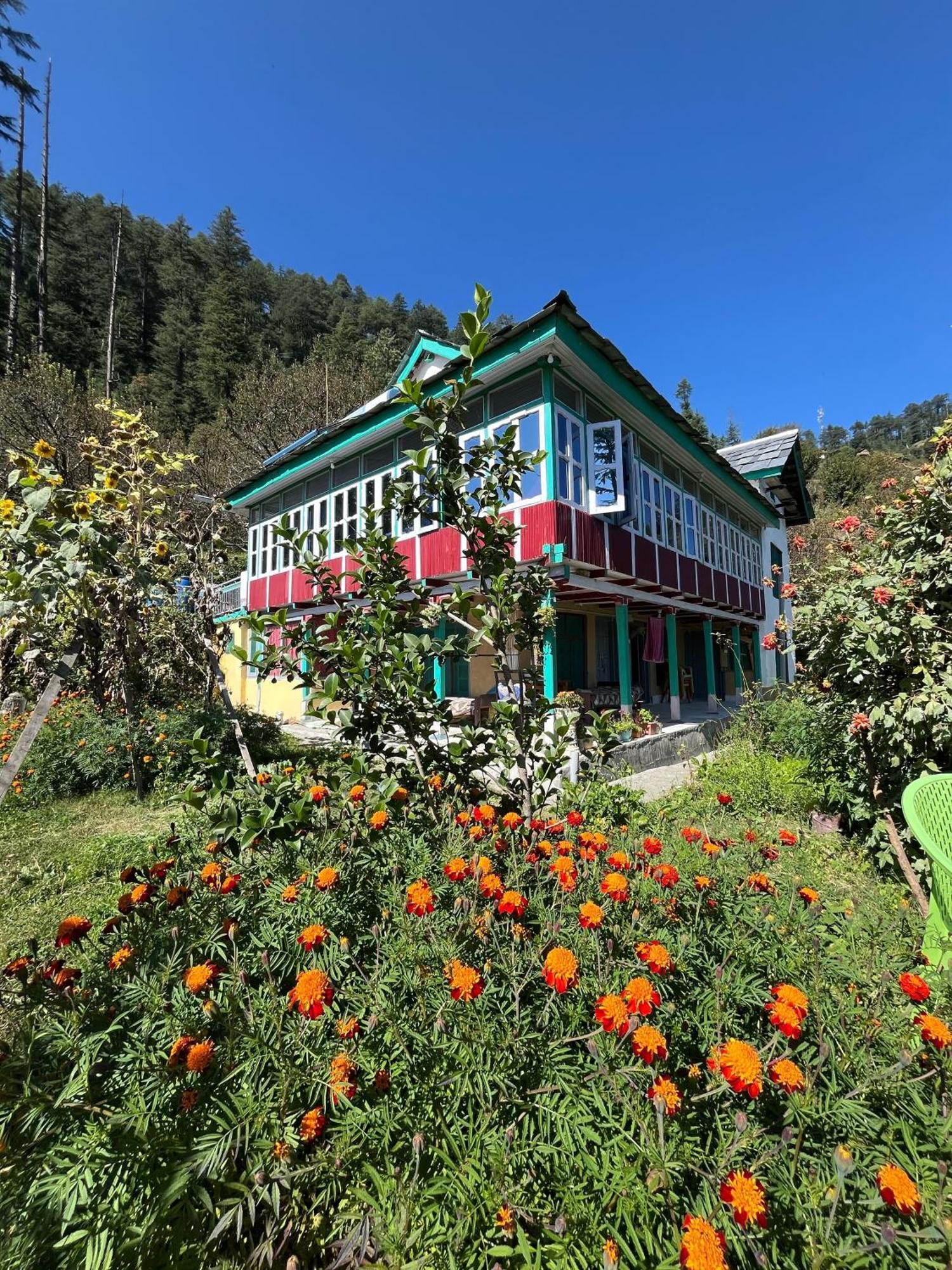 Mountain Eyrie Banjār Exterior foto